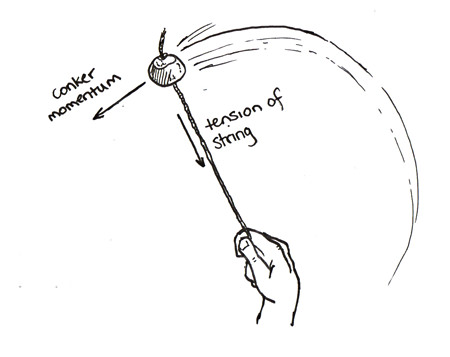The tension in the string pulls the conker to towards the centre and allows it move in circle/curves