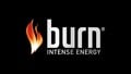 The Burn energy drink logo will feature on the car
