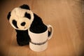 A new cuddly panda arrives in the Sidepodcast household