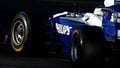 A huge interview with the Williams stalwart
